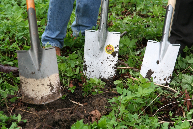 pepiniere-CAUSSOLS-min_work-lawn-flower-tool-green-backyard-1103633-pxhere.com